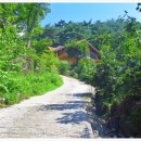 불이산방 이미지