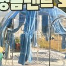 자양보오토캠핑장 이미지