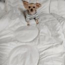 네모약국 이미지