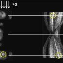 동양과학 이미지