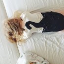 빰밤 이미지