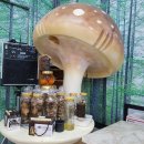 두리농장1 이미지