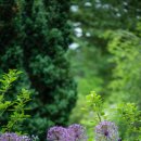 신중동행정복지센터 이미지