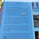 덕정1통 이미지