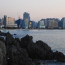 동백섬의 일출 이미지