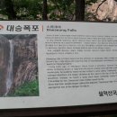 설악탕 Daum카페