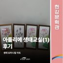 색연필 보태니컬 아트 | [한강문화관] 아틀리에 생태교실 &#39;생태 보타니컬 아트&#39; 후기
