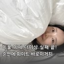 비웰스튜디오 | 이불 고르기 어렵다? 복잡한 기능성 말고 순면이불 화이트가 실패 없는 기본값인 이유 (ft. 100...