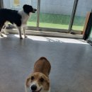 견상낙원 이미지