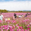낙동강체육공원 축구장 화장실 이미지