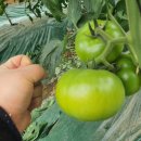 만해농장 이미지