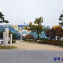 영양초등학교 이미지