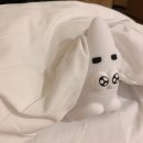 제주 해마 관광호텔 이미지