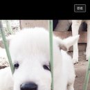 기승전컷 이미지