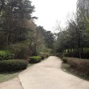 도장공원길 이미지