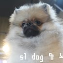 해진미용타운