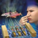 상한전자 이미지