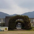 장곡초등학교 이미지