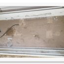 크린데이 이미지