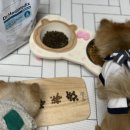 닥터힐스