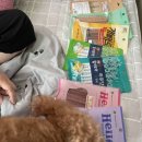 폴리파크 동해점 이미지