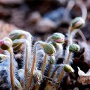 오늘상사 이미지