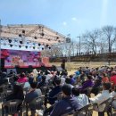 보은옥천영동축협(황의성2) | [충청북도 보은군] 보은 벚꽃길 축제