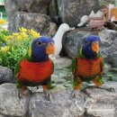 동물치유쉼터 이미지