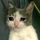 (하)재미 팡팡 창의 미술 | 먹을게 없어서 나이까지 먹은 사람