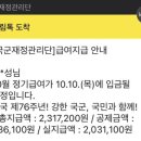 하미양 이미지