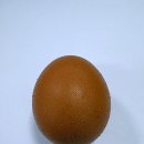 [쿠팡쿠매][FOURFREE] 포프리 골드 식물성원료 영양반숙란 1500g, 30구, 1박스 / 구매후기