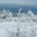 1월24일 새해 두번째산행 강원태백 태백산 (1567m)으로 정기 산행합니다 이미지