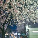 청우태권도장 이미지