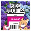 제주투어패스 뽕뽑는법 카페리스트만 정복한 후기