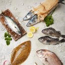 군산회집 이미지