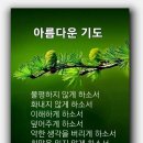 8월 17/18일 토/일요일 강원방 출석부 이미지