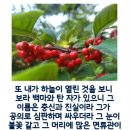 신신기획 이미지