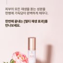 코코클릭 이미지
