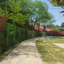 축령복음병원 이미지