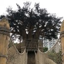 하계어린이공원 이미지