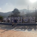 직지패키지