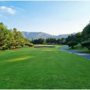 새말길R | 강남300cc 라운딩 후기^^ (강남300 회원권/강남300cc무기명회원권)