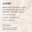 딥포레스트 | 차량용 탈취제 &#39;로나브 카 퍼퓸 스프레이&#39; 제품 추천 및 사용 후기 | 딥 포레스트 / 소프트 벨벳