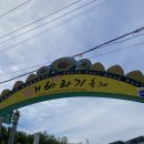 대평늪 화장실 | 함안 강주해바라기 축제 개화상태 먹거리 기념품 주차장 입장료 맛집추천