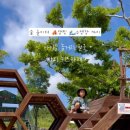 아이올레인포레스트캠핑 이미지