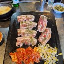 도야지천국