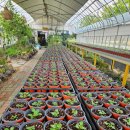 즐거운 농장 이미지