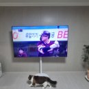 더 함 | 신혼가전 더함 스마트 75인치 UHD 144Hz 1년간 사용한 솔직 후기