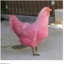 30분 순환운동 이미지