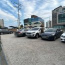 다미가든 이미지